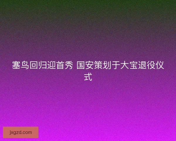 塞鸟回归迎首秀 国安策划于大宝退役仪式